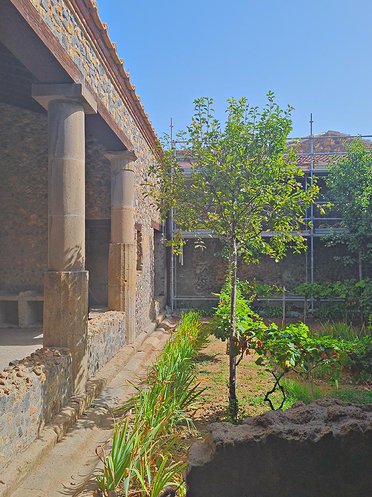I.15.3 Pompeii. September 2024. Looking east across peristyle 13. Photo courtesy of Giuseppe Ciaramella.