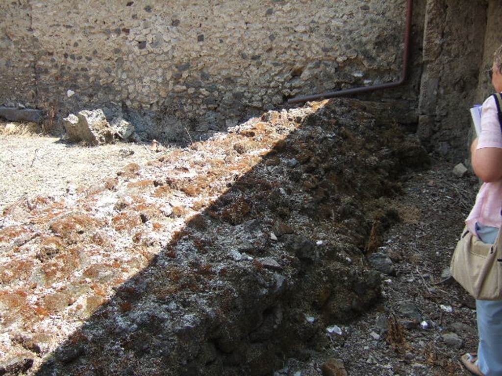 I.17.4 Pompeii.  May 2006.  Showing route of Sarno Canal cutting across garden.