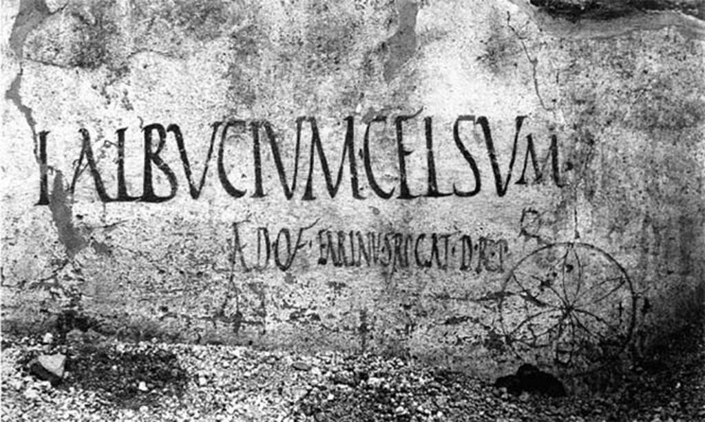 I.19.4 Pompeii. Graffiti on east of entrance doorway, no longer conserved.
L. ALBVCIVM CELSVM
AED O V F EARINVS ROGAT D R P

L(ucium) Albucium Celsu//m 
aed(ilem) o(ro) v(os) f(aciatis) Earinus rogat d(ignum) r(ei) p(ublicae)       [CIL IV 7387]

Also found was
Drapetae omnes      [CIL IV 7389]

See Epigraphik-Datenbank Clauss/Slaby (www.manfredclauss.de).
According to Varone and Stefani, these were found to the east (left) of the entrance of I.19.4 but are no longer conserved.
See Varone, A. and Stefani, G., 2009. Titulorum Pictorum Pompeianorum, Rome: L�Erma di Bretschneider, p. 172-3.

