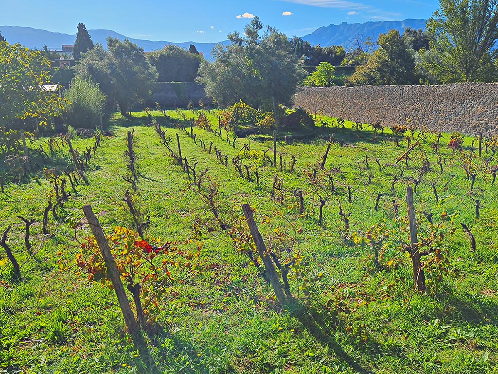 I.21.2/6 Pompeii. October 2024. Looking south across Fugitive’s garden area. Photo courtesy of Giuseppe Ciaramella.