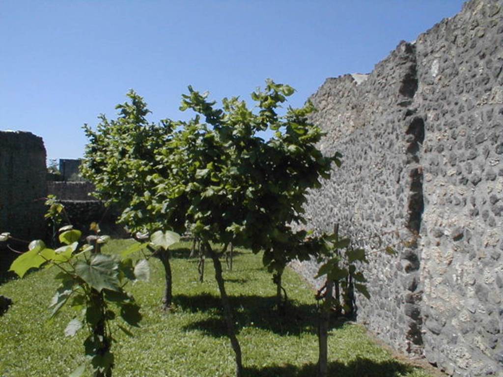 I.21.2 Pompeii. May 2005. Eastern wall of Fugitives Garden.