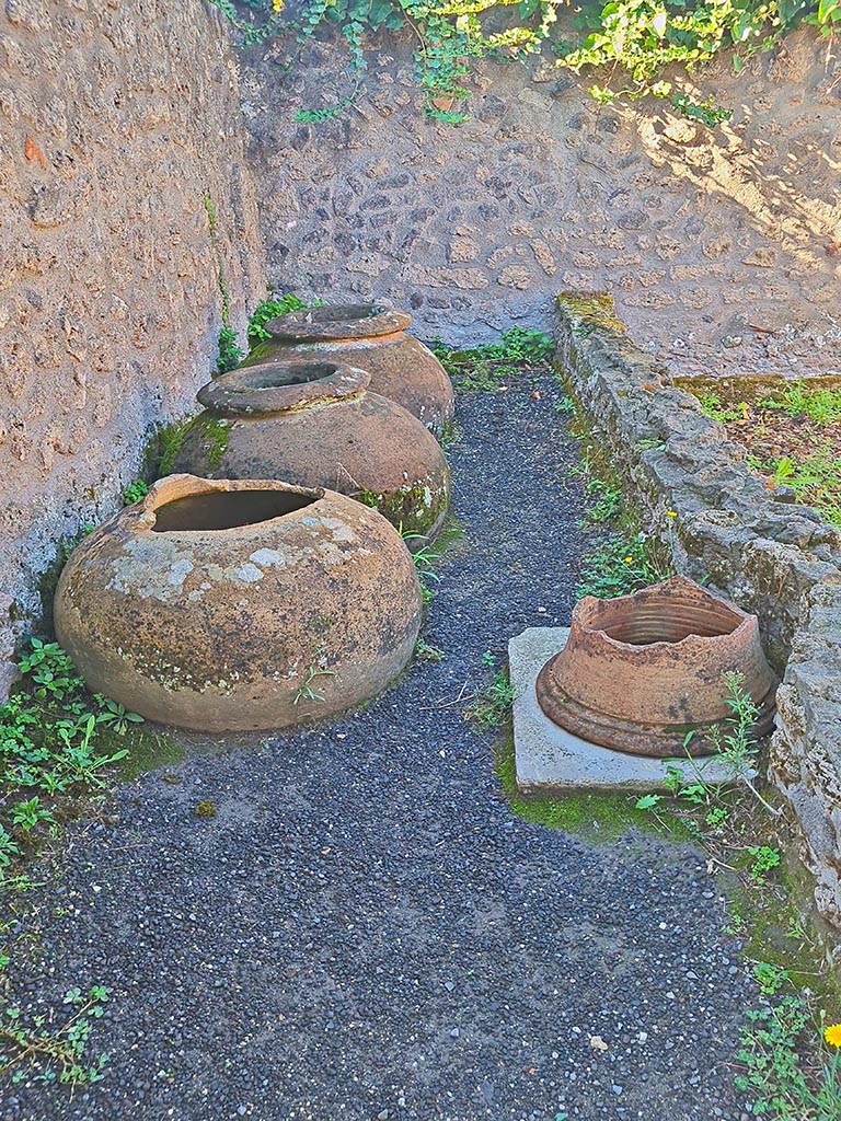 I.21.2 Pompeii. October 2024. Dolia on west side. Photo courtesy of Giuseppe Ciaramella.