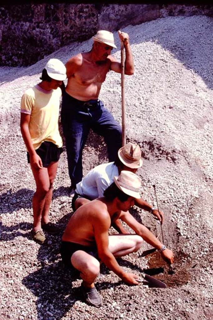 I.21.3 Pompeii. 1974. Careful examination of the lapilli. Photo by Stanley A. Jashemski.   
Source: The Wilhelmina and Stanley A. Jashemski archive in the University of Maryland Library, Special Collections (See collection page) and made available under the Creative Commons Attribution-Non Commercial License v.4. See Licence and use details. J74f0259
