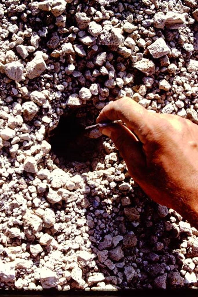 I.21.3 Pompeii. 1974. Removing the lapilli carefully. Photo by Stanley A. Jashemski.   
Source: The Wilhelmina and Stanley A. Jashemski archive in the University of Maryland Library, Special Collections (See collection page) and made available under the Creative Commons Attribution-Non Commercial License v.4. See Licence and use details. J74f0300
