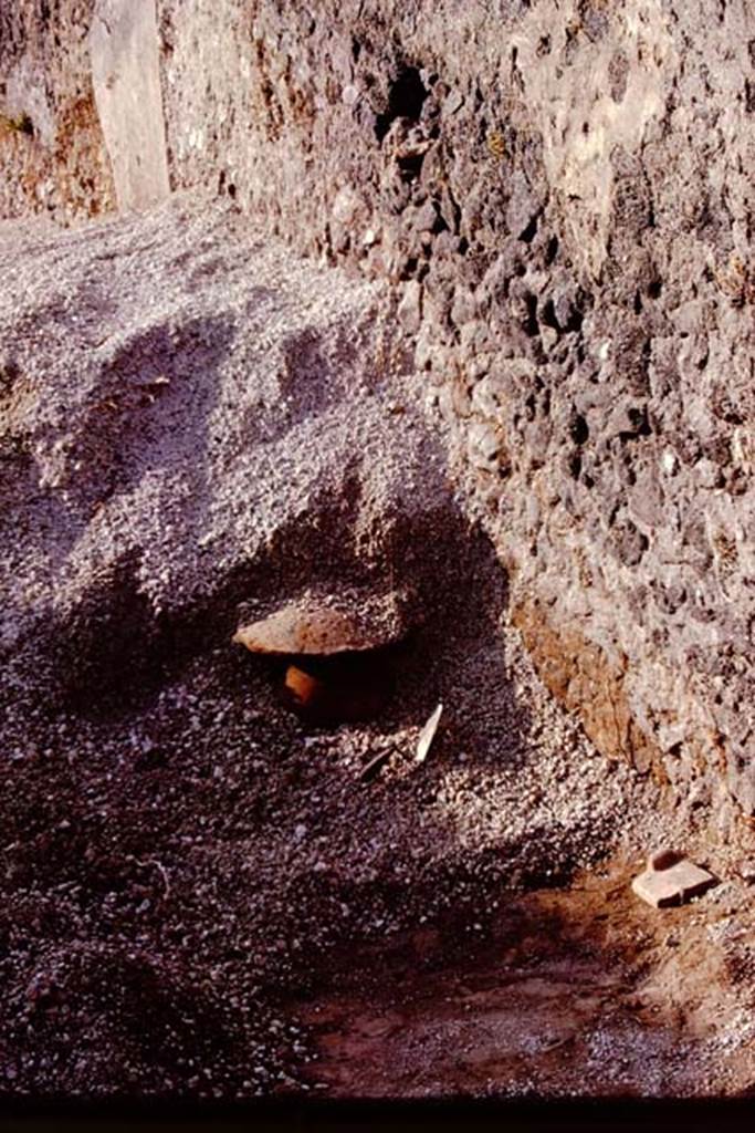 I.21.3 Pompeii. 1974. Discovery in the lapilli. Photo by Stanley A. Jashemski.   
Source: The Wilhelmina and Stanley A. Jashemski archive in the University of Maryland Library, Special Collections (See collection page) and made available under the Creative Commons Attribution-Non Commercial License v.4. See Licence and use details. J74f0323
