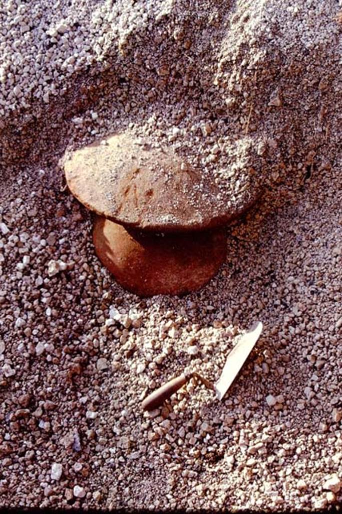 I.21.3 Pompeii. 1974. Discovery emerging from the lapilli. Photo by Stanley A. Jashemski.   
Source: The Wilhelmina and Stanley A. Jashemski archive in the University of Maryland Library, Special Collections (See collection page) and made available under the Creative Commons Attribution-Non Commercial License v.4. See Licence and use details. J74f0322
