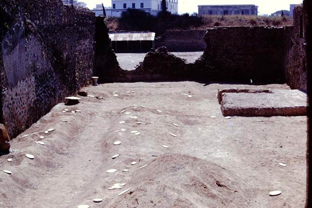 I.21.3 Pompeii. 1974. Looking south with root cavities now marked by white painted wooden discs for easier recognition by the �balloon� from the air. Photo by Stanley A. Jashemski.   
Source: The Wilhelmina and Stanley A. Jashemski archive in the University of Maryland Library, Special Collections (See collection page) and made available under the Creative Commons Attribution-Non Commercial License v.4. See Licence and use details. J74f0719
