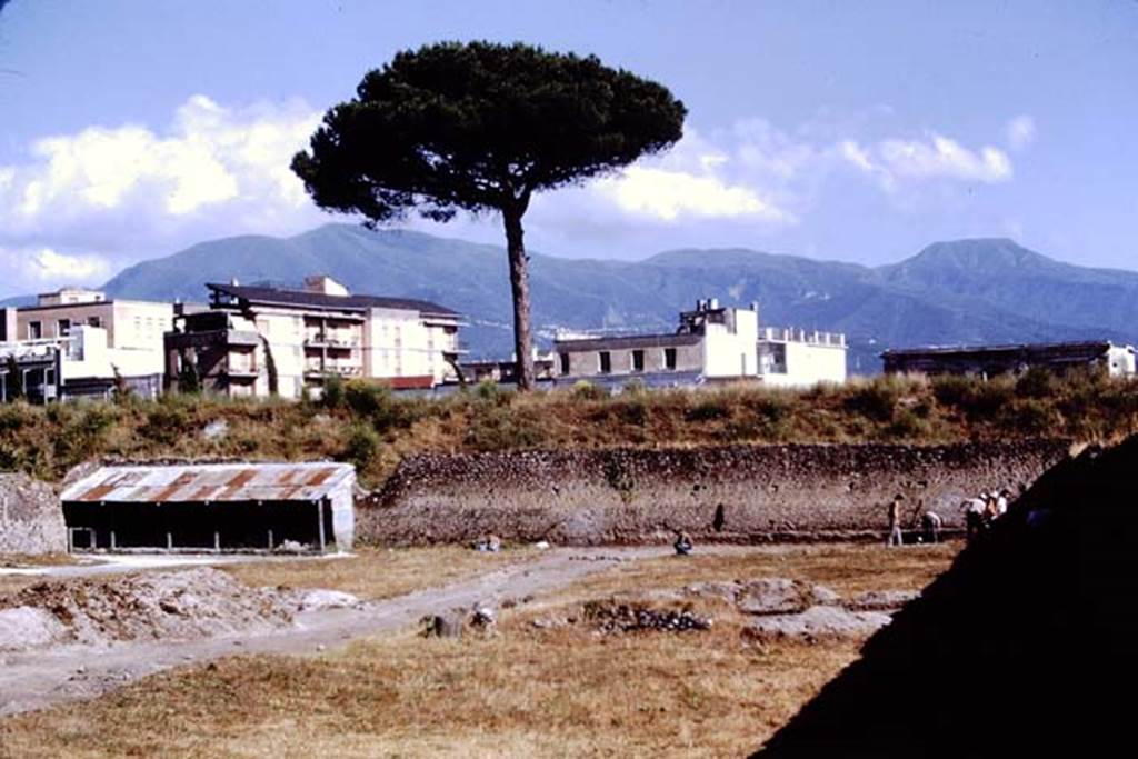 I.21.6 Pompeii, 1973. Looking south across site. Photo by Stanley A. Jashemski.
Source: The Wilhelmina and Stanley A. Jashemski archive in the University of Maryland Library, Special Collections (See collection page) and made available under the Creative Commons Attribution-Non Commercial License v.4. See Licence and use details. J73f0466