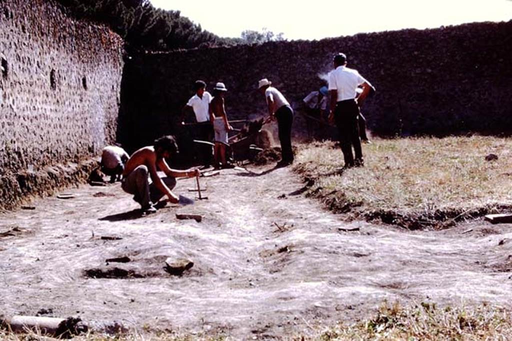 I.21.6 Pompeii, 1973. South-west corner of site. Photo by Stanley A. Jashemski.
Source: The Wilhelmina and Stanley A. Jashemski archive in the University of Maryland Library, Special Collections (See collection page) and made available under the Creative Commons Attribution-Non Commercial License v.4. See Licence and use details. J73f0464