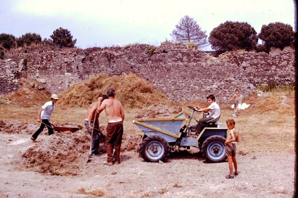 I.21.6 Pompeii. 1974. Looking east. Photo by Stanley A. Jashemski.
Source: The Wilhelmina and Stanley A. Jashemski archive in the University of Maryland Library, Special Collections (See collection page) and made available under the Creative Commons Attribution-Non Commercial License v.4. See Licence and use details. J74f0154