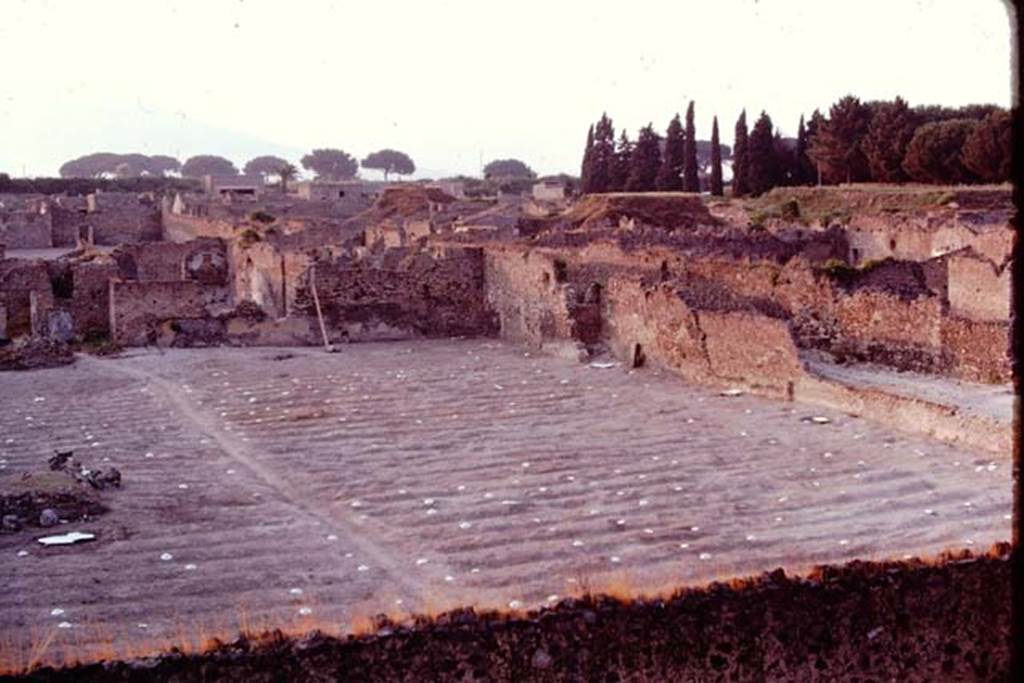 I.21.6 Pompeii. 1974. Looking north across the furrows and painted discs showing the position of root cavities. Photo by Stanley A. Jashemski.
Source: The Wilhelmina and Stanley A. Jashemski archive in the University of Maryland Library, Special Collections (See collection page) and made available under the Creative Commons Attribution-Non Commercial License v.4. See Licence and use details. J74f0521