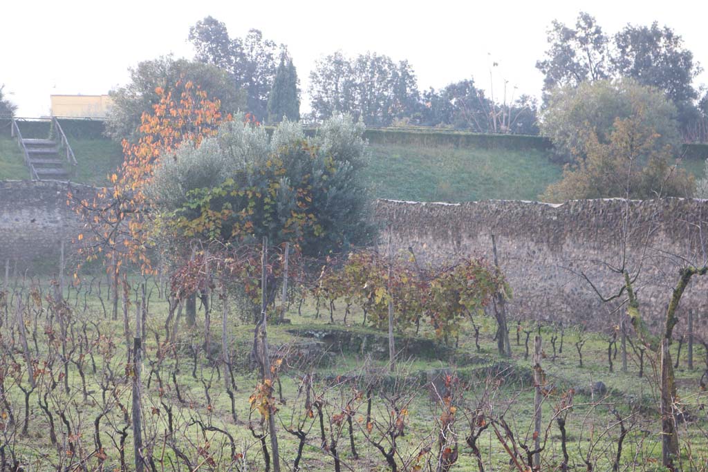 I.21.6 Pompeii. December 2018. Looking south-west towards triclinium in garden. Photo courtesy of Aude Durand.

