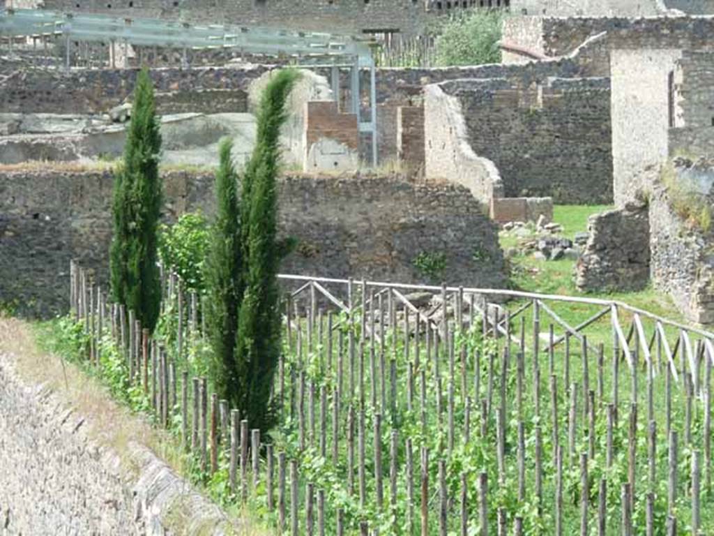 I.22.2 Pompeii. May 2010. West side of large garden or orchard.