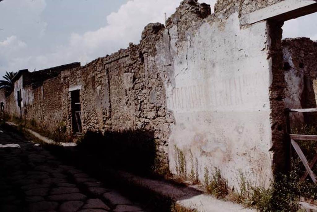 II.1.10 Pompeii. 1964. Painted wall on north side of entrance doorway on Via di Nocera.
Photo by Stanley A. Jashemski.
Source: The Wilhelmina and Stanley A. Jashemski archive in the University of Maryland Library, Special Collections (See collection page) and made available under the Creative Commons Attribution-Non Commercial License v.4. See Licence and use details.
J64f1368 
According to Varone and Stefani, the inscription is CIL IV 9884 and was found on the south of the doorway.  It read �
                                                                    AED V B D R P
A . TREBIVM . VALENTEM    O . V . F .
                                                                    GRANIVS ROG
See Varone, A. and Stefani, G., 2009. Titulorum Pictorum Pompeianorum, Rome: L�erma di Bretschneider. (p.185)

According to Epigraphik-Datenbank Clauss/Slaby (See www.manfredclauss.de), it read
A(ulum) Trebium Valentem 
Aed(ilem) V(irum) B(onum) D(ignum) R(ei) P(ublicae)
O(ro) V(os) F(acciatis)
Granius Rog(at) 
