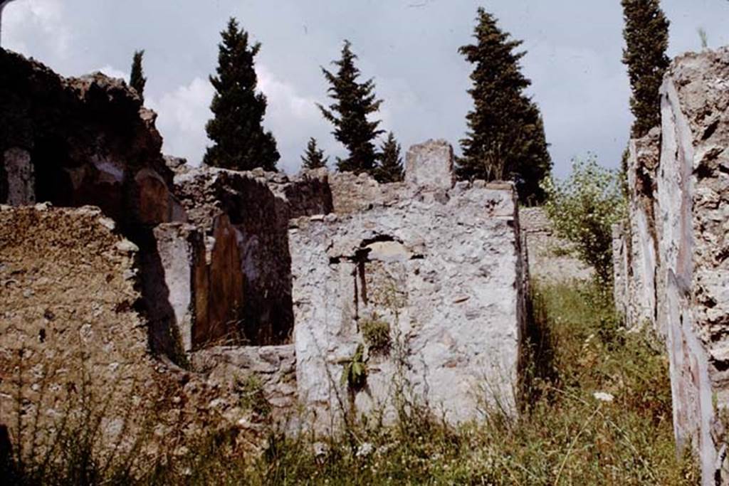 II.1.10 Pompeii. 1964. Looking east across a yard, towards the garden area. Photo by Stanley A. Jashemski.
Source: The Wilhelmina and Stanley A. Jashemski archive in the University of Maryland Library, Special Collections (See collection page) and made available under the Creative Commons Attribution-Non Commercial License v.4. See Licence and use details.
J64f1369
