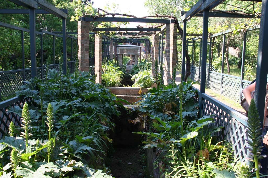 II.2.2 Pompeii. April 2011. Room “l”, garden.
Looking north towards house from near the third pool at the south end of garden. Photo courtesy of Klaus Heese. 
