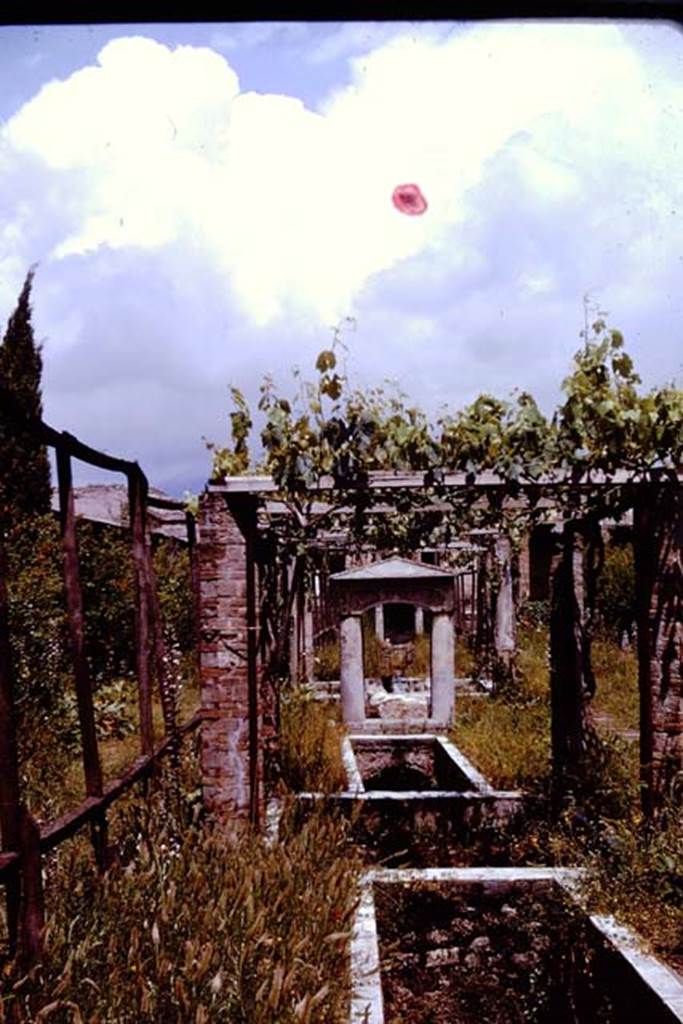 II.2.2 Pompeii. 1961. Room “l”, garden, looking north from south end. 
Photo by Stanley A. Jashemski.
Source: The Wilhelmina and Stanley A. Jashemski archive in the University of Maryland Library, Special Collections (See collection page) and made available under the Creative Commons Attribution-Non Commercial License v.4. See Licence and use details.
J61f0404

