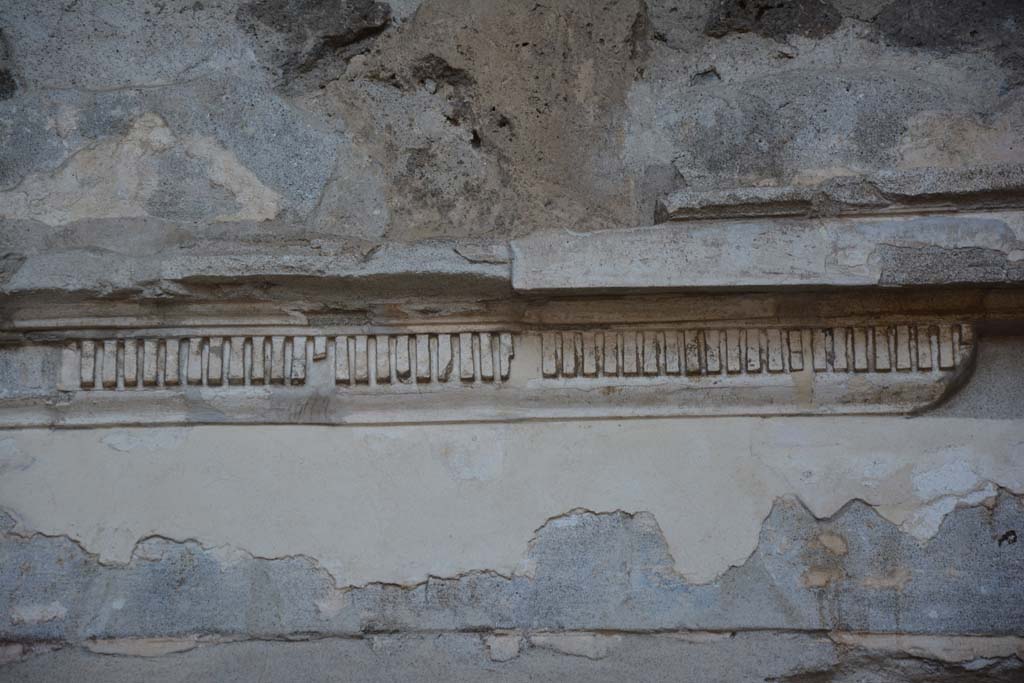 II.2.2 Pompeii. July 2017. Room 3, detail of stucco on east wall.
Foto Annette Haug, ERC Grant 681269 DÉCOR.
