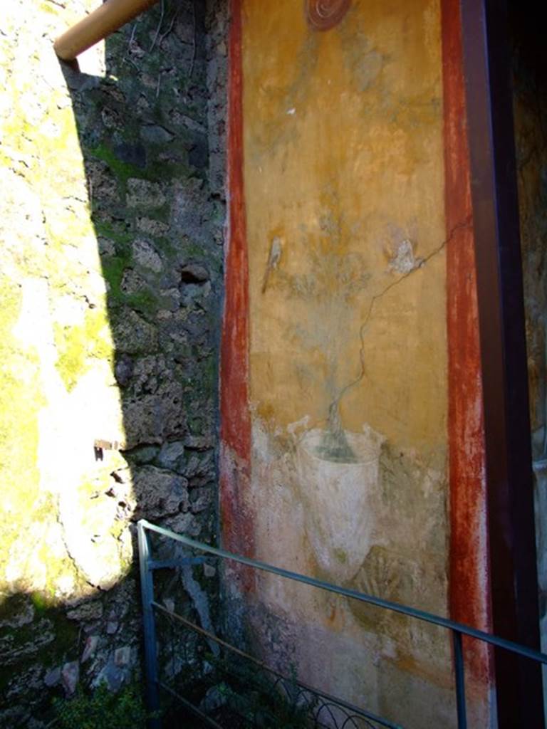 II.3.3 Pompeii.  March 2009. Room 17,  North side of Room 17 in garden.