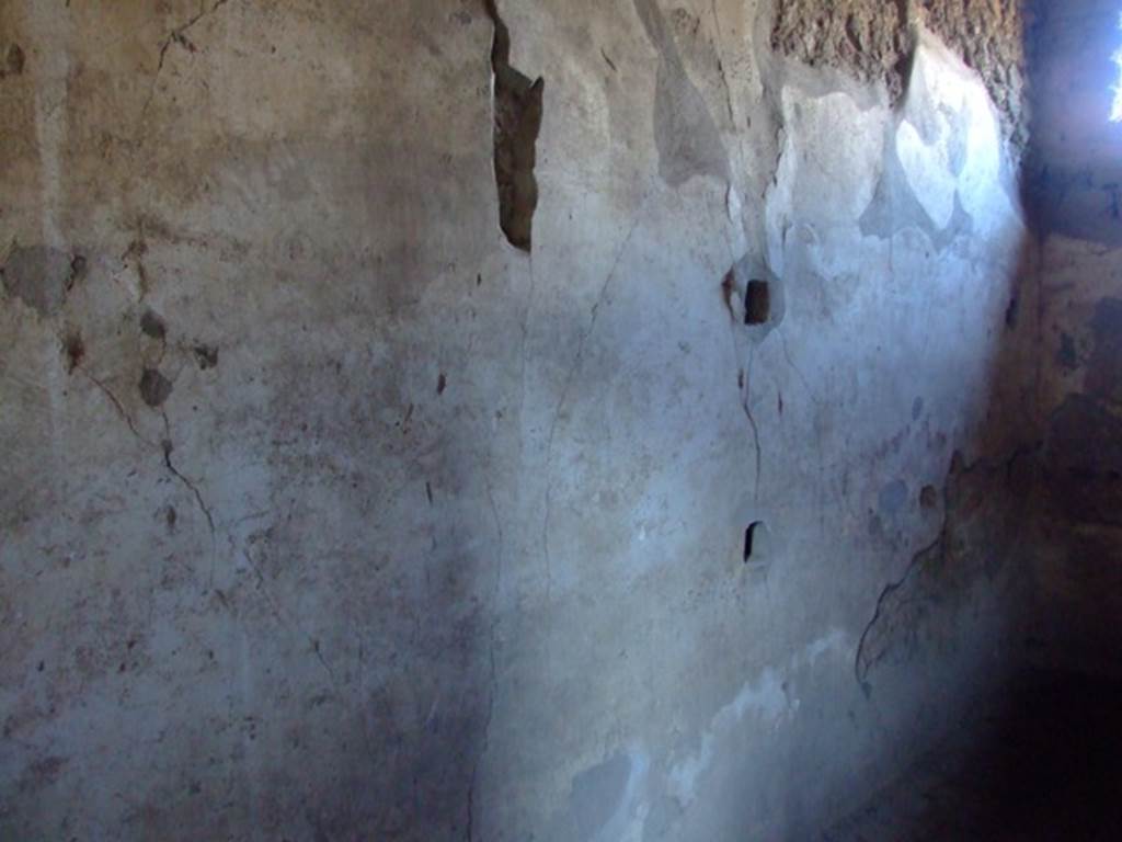 II.3.3 Pompeii.  March 2009.  Room 8,  North wall.
