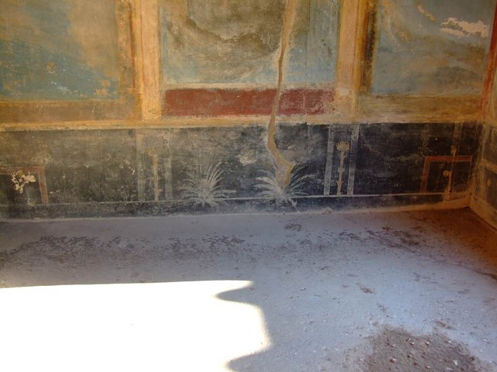 II.3.3 Pompeii.  March 2009. Room 10, South wall. Painted plants.