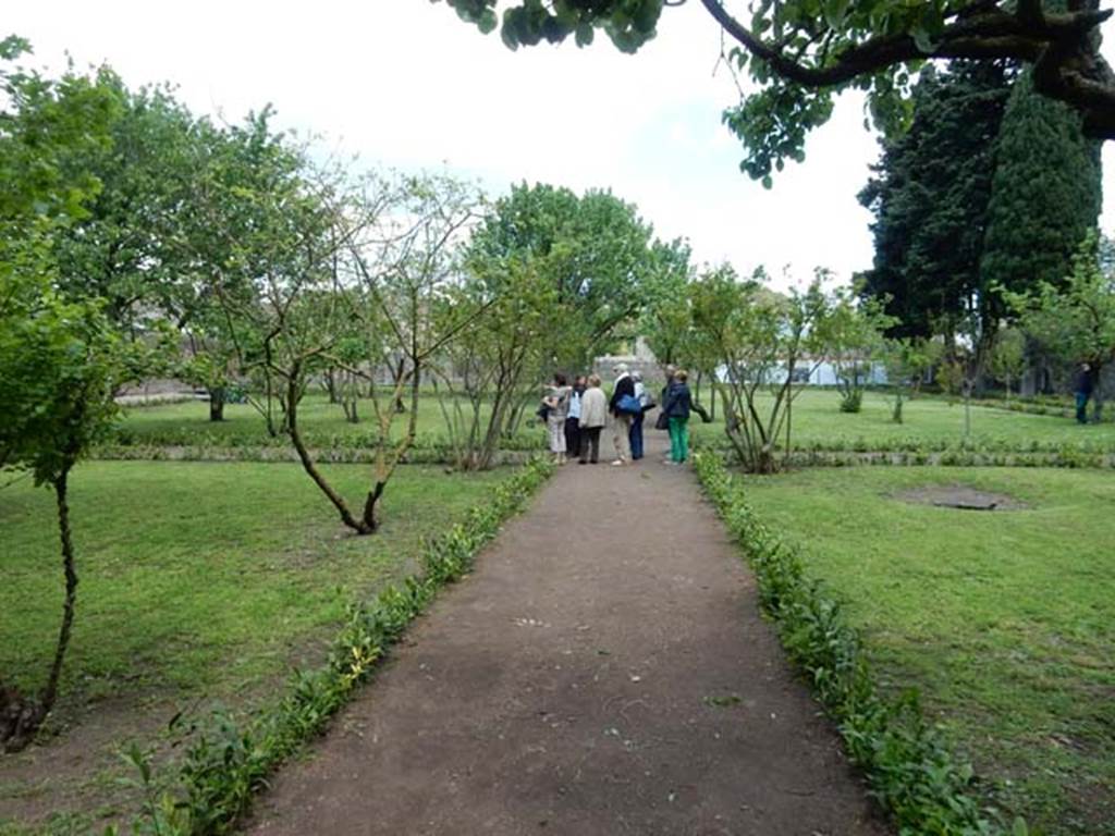 II.4.9 Pompeii. May 2016. Looking north across garden area. Photo courtesy of Buzz Ferebee.  According to the information board –  “The large park behind the house was planted as an orchard.  Soon after being excavated by Amedeo Maiuri, it was replanted and has now been re-arranged by retaining the same scheme of four large spaces surrounded by gravel paths and edged with hose-tongue lilies.  The spaces have been replanted with the existing fruit trees, replaced wherever necessary: pomegranate, quince, pear and cherry trees.  Along the perimeter grow trees and decorative shrubs such as cypresses, viburnum and oleanders.”
