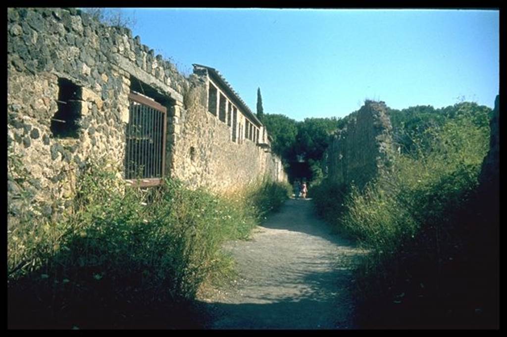 II.4.12  Pompeii.                  Roadway looking south                                II.3
Photographed 1970-79 by G�nther Einhorn, picture courtesy of his son Ralf Einhorn.
