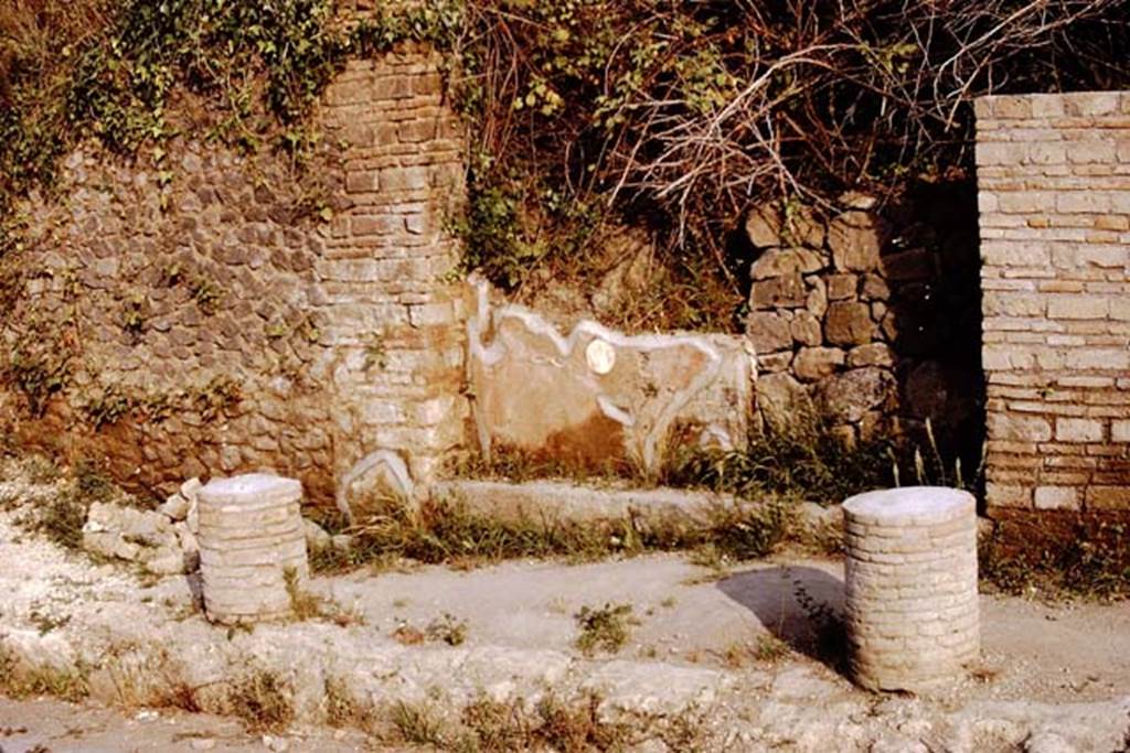 II.5.1 Pompeii. 1972. Entrance doorway, looking south. Photo by Stanley A. Jashemski. 
Source: The Wilhelmina and Stanley A. Jashemski archive in the University of Maryland Library, Special Collections (See collection page) and made available under the Creative Commons Attribution-Non Commercial License v.4. See Licence and use details. J72f0081
