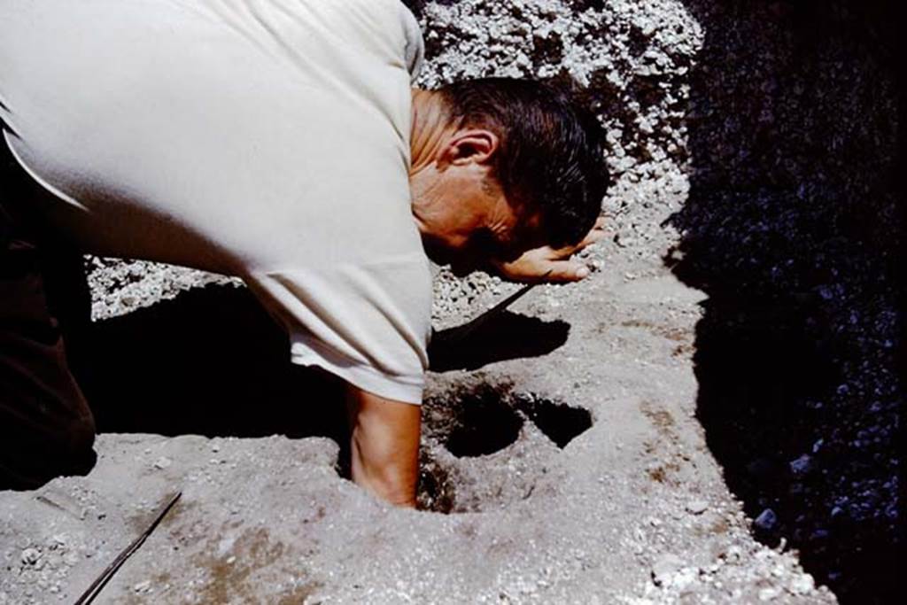 II.5 Pompeii. 1966. Putting the finishing touches to the cavity, before filling with cement. 
Photo by Stanley A. Jashemski.
Source: The Wilhelmina and Stanley A. Jashemski archive in the University of Maryland Library, Special Collections (See collection page) and made available under the Creative Commons Attribution-Non Commercial License v.4. See Licence and use details.
J66f0166
