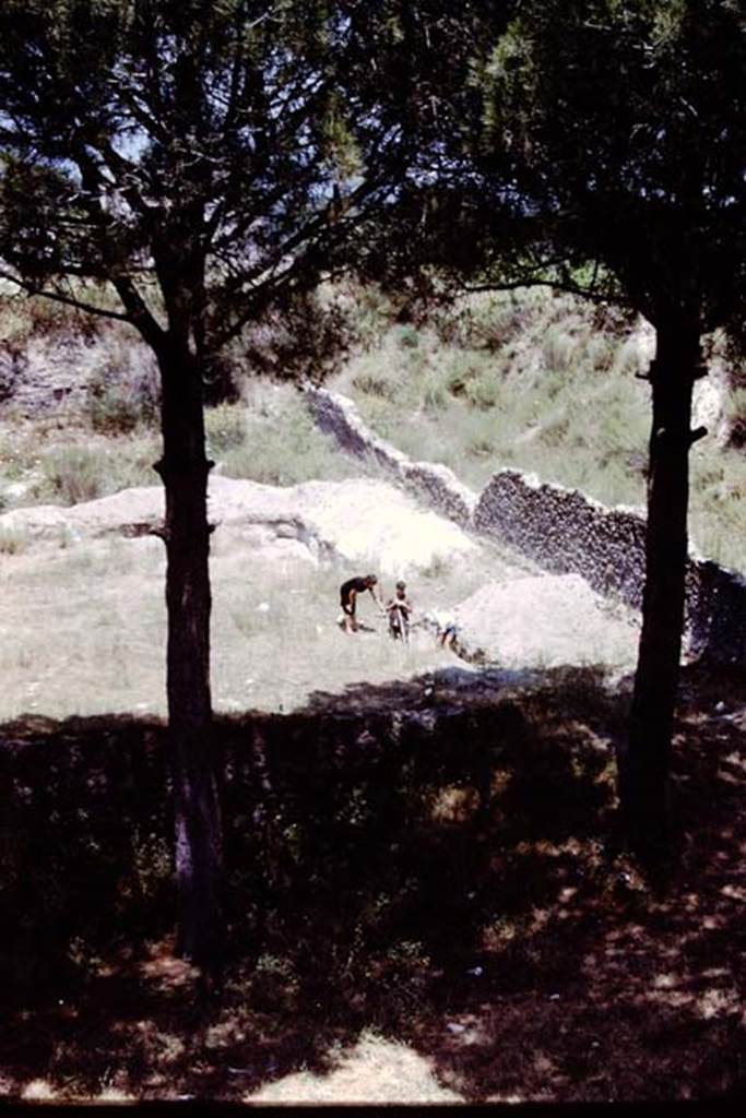 II.5 Pompeii. 1966.  Excavations near east wall and south-east corner.  Photo by Stanley A. Jashemski.
Source: The Wilhelmina and Stanley A. Jashemski archive in the University of Maryland Library, Special Collections (See collection page) and made available under the Creative Commons Attribution-Non Commercial License v.4. See Licence and use details.
J66f0315

