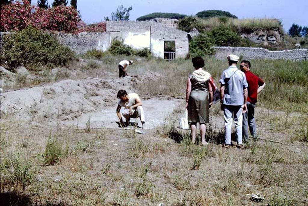 II.5 Pompeii. 1966. Looking north across site.  Photo by Stanley A. Jashemski.
Source: The Wilhelmina and Stanley A. Jashemski archive in the University of Maryland Library, Special Collections (See collection page) and made available under the Creative Commons Attribution-Non Commercial License v.4. See Licence and use details.
J66f0371
