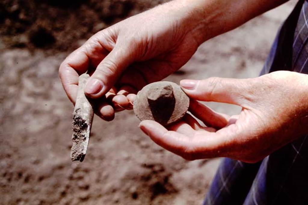 II.5 Pompeii. 1966. Finds.  Photo by Stanley A. Jashemski.
Source: The Wilhelmina and Stanley A. Jashemski archive in the University of Maryland Library, Special Collections (See collection page) and made available under the Creative Commons Attribution-Non Commercial License v.4. See Licence and use details.
J66f0398
