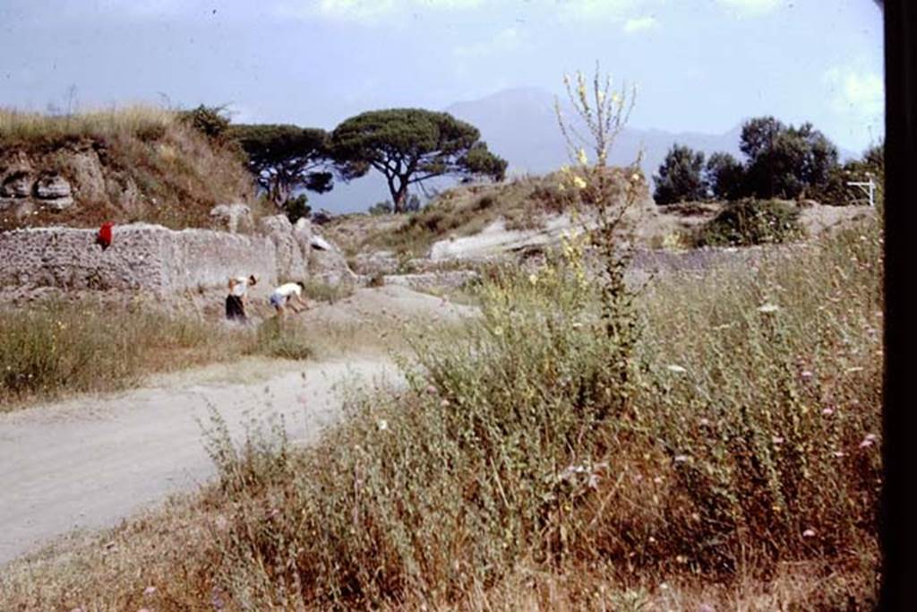 II.5 Pompeii. 1966. Looking north towards the east wall of the unexcavated structure in north-west corner. Wilhelmina�s first complete row of small root cavities were found along this east wall. Photo by Stanley A. Jashemski.
Source: The Wilhelmina and Stanley A. Jashemski archive in the University of Maryland Library, Special Collections (See collection page) and made available under the Creative Commons Attribution-Non Commercial License v.4. See Licence and use details.
J66f0405
