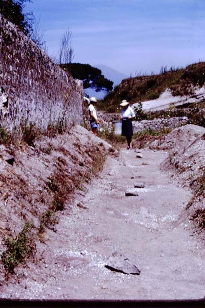 II.5 Pompeii. 1966. Stones to protect the root cavities along the east wall.  Photo by Stanley A. Jashemski.
Source: The Wilhelmina and Stanley A. Jashemski archive in the University of Maryland Library, Special Collections (See collection page) and made available under the Creative Commons Attribution-Non Commercial License v.4. See Licence and use details.
J66f1070
