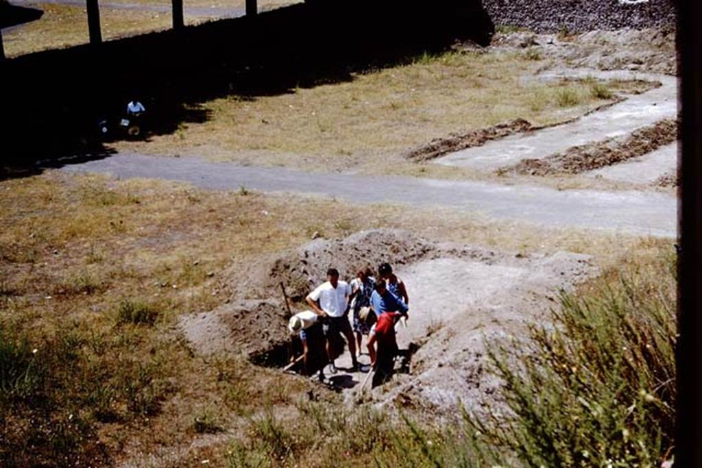 II.5 Pompeii. 1966. In the Pompeii of 1966, it was much easier to get in and around places that are now fenced off and out-of-bounds. There were not as many �Vietato l�accesso� (No-entry) signs around in those days. In the words of Tony Robinson on �Time-Team� we hope these passers-by asked �Can we come into your trench?� Photo by Stanley A. Jashemski.
Source: The Wilhelmina and Stanley A. Jashemski archive in the University of Maryland Library, Special Collections (See collection page) and made available under the Creative Commons Attribution-Non Commercial License v.4. See Licence and use details.
J66f0602
