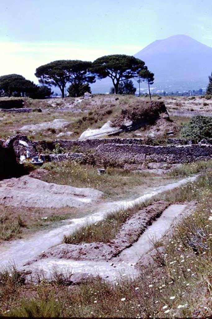 II.5 Pompeii. 1966. Looking north across top of insula and across the Via dell�Abbondanza into III.7.  Photo by Stanley A. Jashemski.
Source: The Wilhelmina and Stanley A. Jashemski archive in the University of Maryland Library, Special Collections (See collection page) and made available under the Creative Commons Attribution-Non Commercial License v.4. See Licence and use details.
J66f1092
