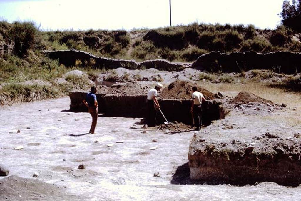 II.5 Pompeii, 1968. Expanding the site on the eastern side.  Photo by Stanley A. Jashemski.
Source: The Wilhelmina and Stanley A. Jashemski archive in the University of Maryland Library, Special Collections (See collection page) and made available under the Creative Commons Attribution-Non Commercial License v.4. See Licence and use details.
J68f0317
