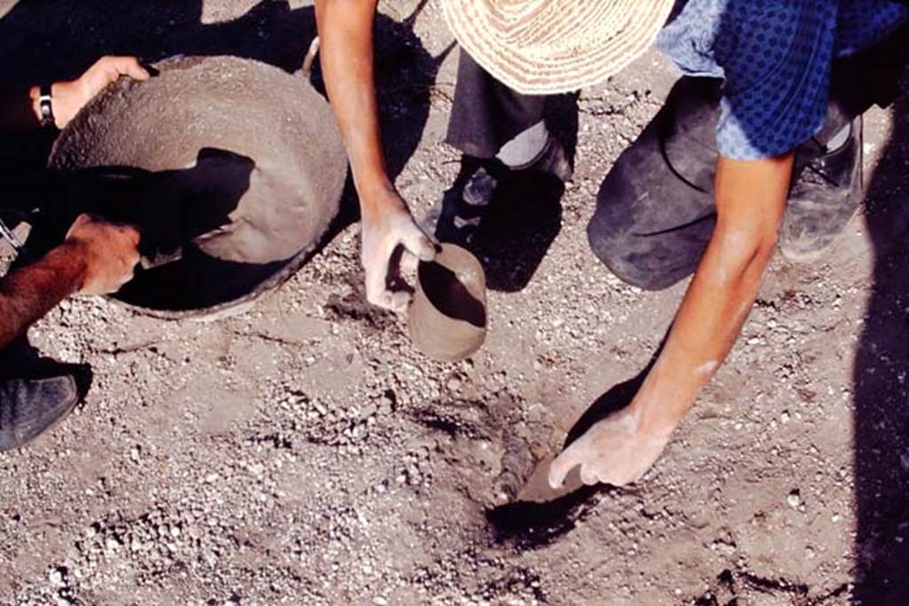 II.5 Pompeii, 1968. Pouring in the cement.  Photo by Stanley A. Jashemski.
Source: The Wilhelmina and Stanley A. Jashemski archive in the University of Maryland Library, Special Collections (See collection page) and made available under the Creative Commons Attribution-Non Commercial License v.4. See Licence and use details.
J68f0745
