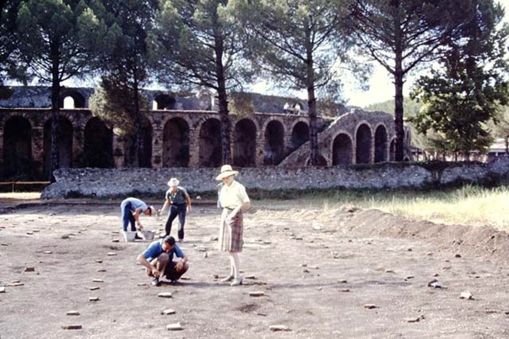 II.5 Pompeii, 1968.  �I keep miscounting these root-cavities, the numbers just seem to keep growing�. Photo by Stanley A. Jashemski.
Source: The Wilhelmina and Stanley A. Jashemski archive in the University of Maryland Library, Special Collections (See collection page) and made available under the Creative Commons Attribution-Non Commercial License v.4. See Licence and use details.
J68f0844
