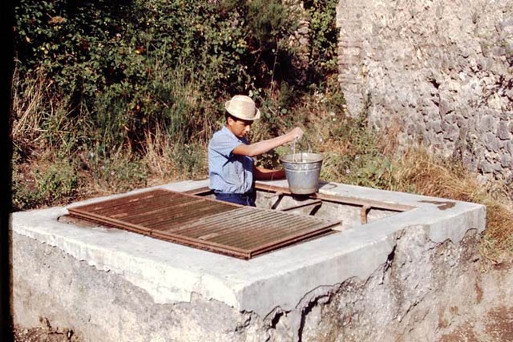 II.5 Pompeii, 1968.  Water from the Sarno canal inspection chamber for the cement-mix. Photo by Stanley A. Jashemski.
Source: The Wilhelmina and Stanley A. Jashemski archive in the University of Maryland Library, Special Collections (See collection page) and made available under the Creative Commons Attribution-Non Commercial License v.4. See Licence and use details.
J68f0847
