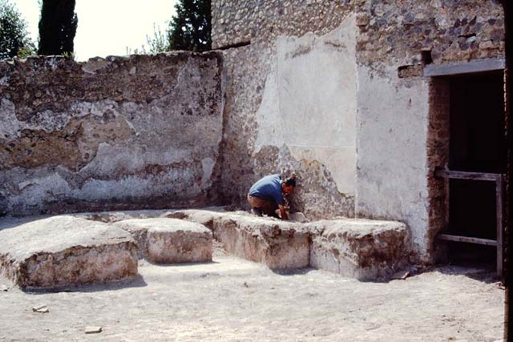II.5 Pompeii, 1968.  �What have I found here�.  Photo by Stanley A. Jashemski.
Source: The Wilhelmina and Stanley A. Jashemski archive in the University of Maryland Library, Special Collections (See collection page) and made available under the Creative Commons Attribution-Non Commercial License v.4. See Licence and use details.
J68f0908
