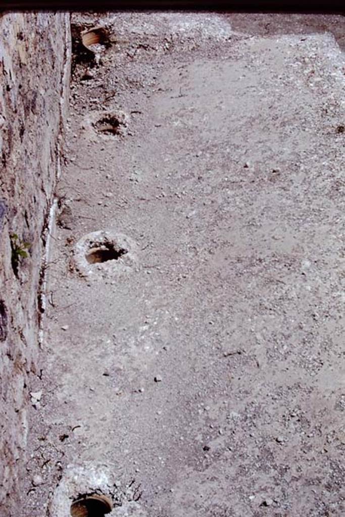 ll.5 Pompeii, 1968. Looking east along rear of triclinium with line of buried amphorae.   Photo by Stanley A. Jashemski.
Source: The Wilhelmina and Stanley A. Jashemski archive in the University of Maryland Library, Special Collections (See collection page) and made available under the Creative Commons Attribution-Non Commercial License v.4. See Licence and use details.
J68f1937
