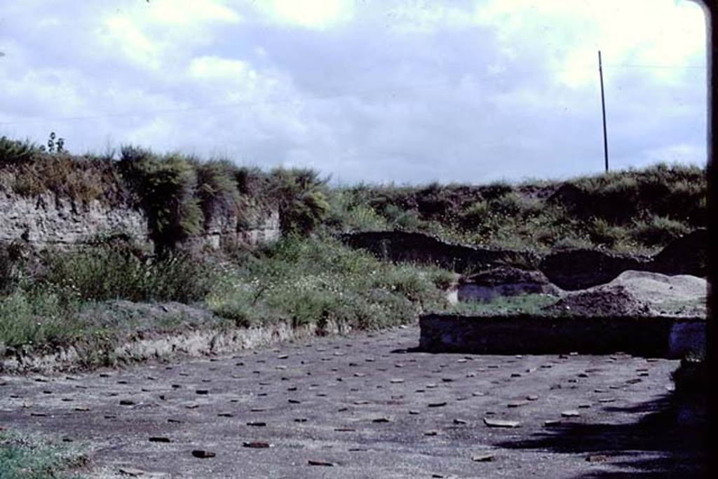 ll.5 Pompeii, 1968. Looking north-east.  Photo by Stanley A. Jashemski.
Source: The Wilhelmina and Stanley A. Jashemski archive in the University of Maryland Library, Special Collections (See collection page) and made available under the Creative Commons Attribution-Non Commercial License v.4. See Licence and use details.
J68f2020
