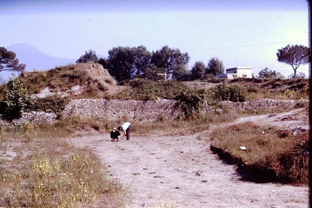II.5 Pompeii. 1970. Looking north.  Photo by Stanley A. Jashemski.
Source: The Wilhelmina and Stanley A. Jashemski archive in the University of Maryland Library, Special Collections (See collection page) and made available under the Creative Commons Attribution-Non Commercial License v.4. See Licence and use details.
J70f0537
