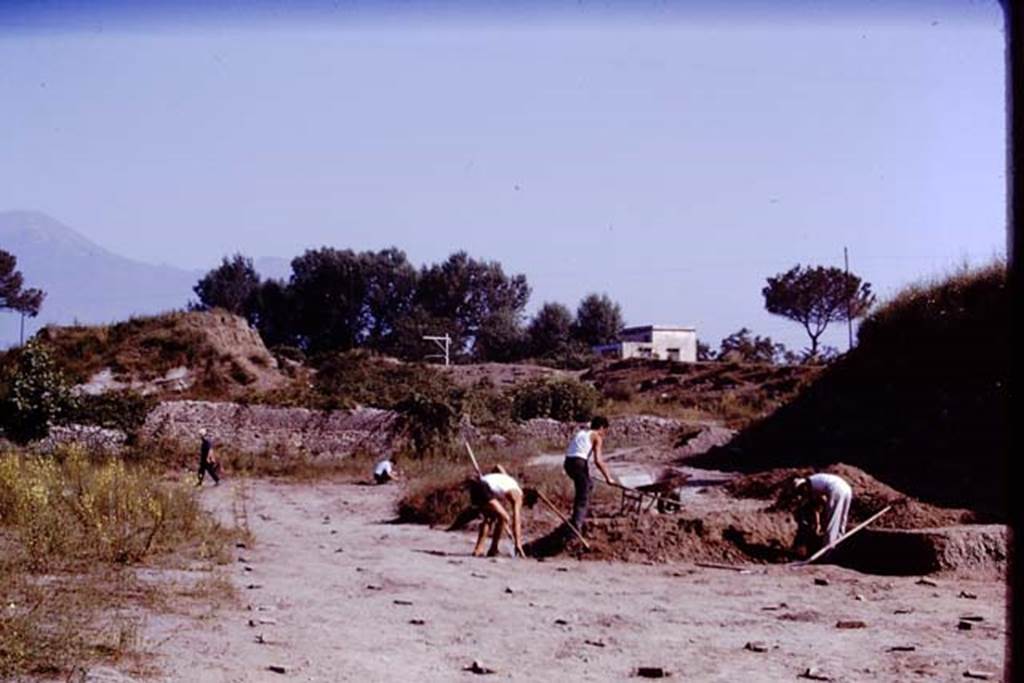 II.5 Pompeii. 1970. Looking north.   Photo by Stanley A. Jashemski.
Source: The Wilhelmina and Stanley A. Jashemski archive in the University of Maryland Library, Special Collections (See collection page) and made available under the Creative Commons Attribution-Non Commercial License v.4. See Licence and use details.
J70f0539
