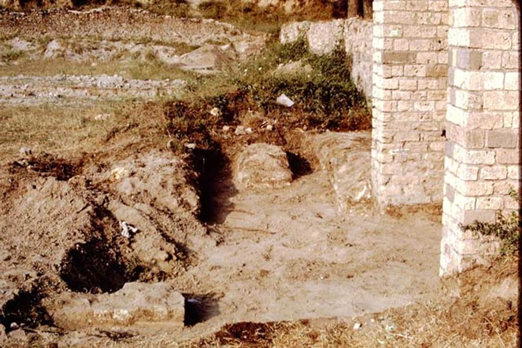 II.5 Pompeii, 1968. Looking east towards triclinium, found on east side of entrance gateway.   Photo by Stanley A. Jashemski.
Source: The Wilhelmina and Stanley A. Jashemski archive in the University of Maryland Library, Special Collections (See collection page) and made available under the Creative Commons Attribution-Non Commercial License v.4. See Licence and use details. J68f1304
