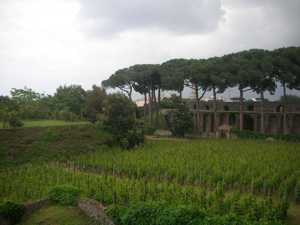 II.5.5 Pompeii. May 2010. 
Looking south-east across replanted vineyard towards entrance gateway, and amphitheatre. Photo courtesy of Ivo van der Graaff.
