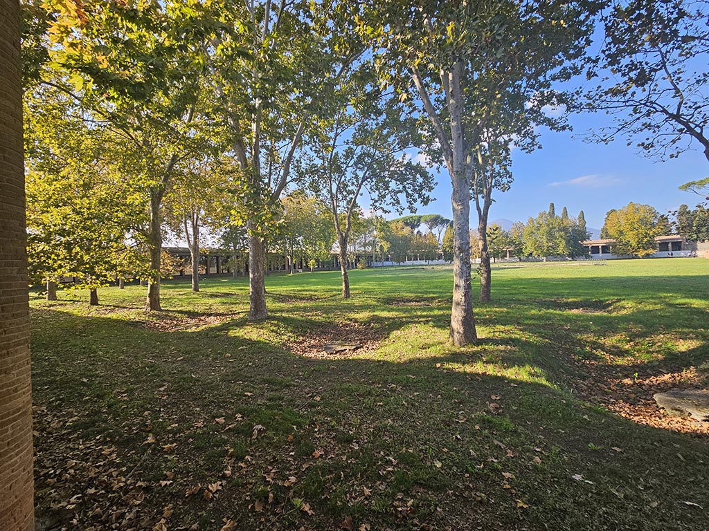 II.7.1 Pompeii. Palaestra. November 2024. Looking north-west from south portico. Photo courtesy of Annette Haug.