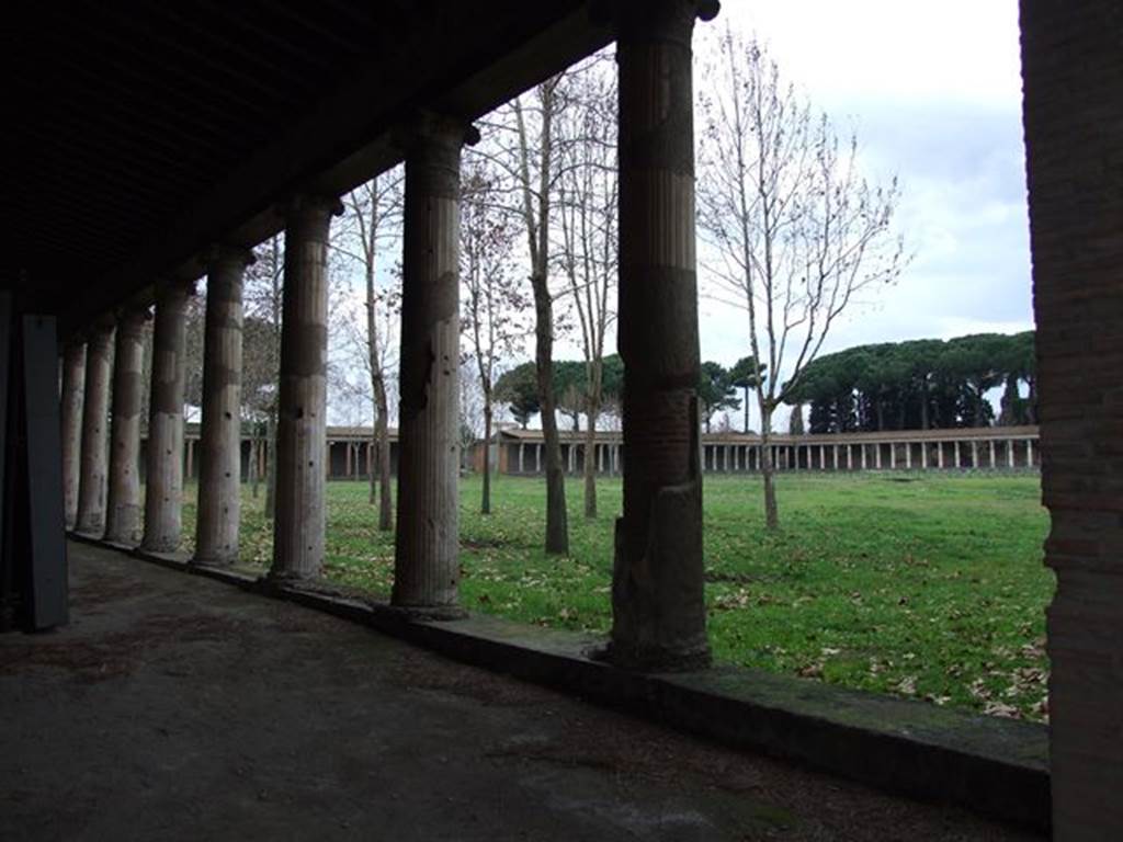 II.7.1 Pompeii. Palaestra. December 2006. Looking North West though south portico.