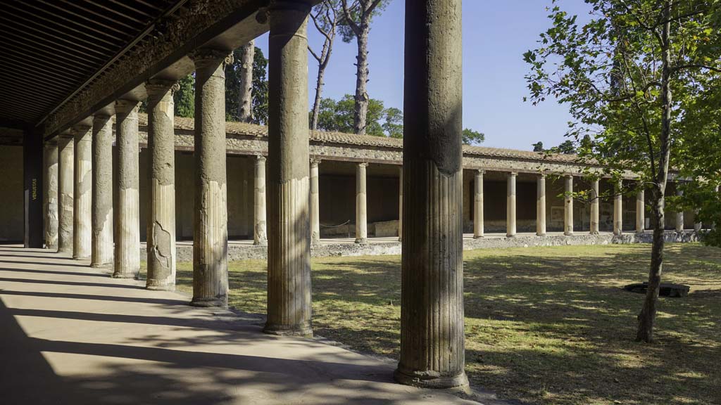 II.7.8 Pompeii. Palaestra. August 2021. 
Looking towards north portico, on right, from west portico, on left. Photo courtesy of Robert Hanson.
